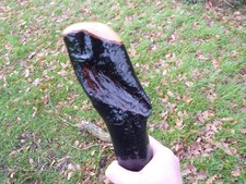 RIESIGER IRISCHER BLACKTHORN