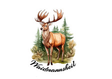 Jagd hirsch waidmannsheil - hirsch,