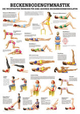 Beckenbodengymnastik von