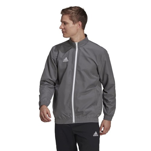 Adidas entrada - adidas, 22