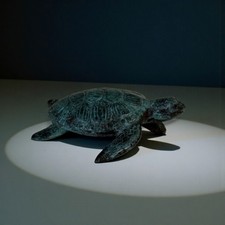 Bronze Schildkröte Indonesien