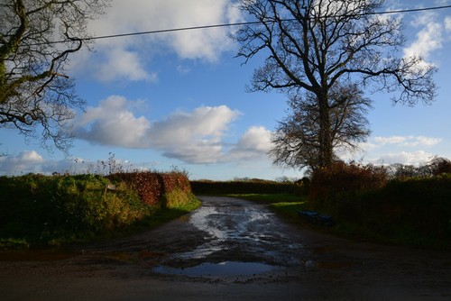 Foto 12x8 mid devon - devon:, densham