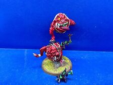 Kettensquig / Mangler Squig