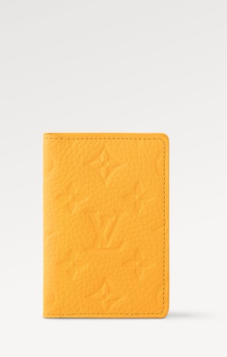 Louis vuitton pocket - louis,