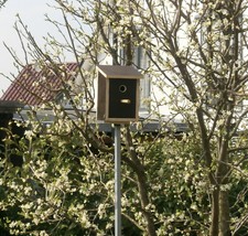 Nistkasten Meisenkasten