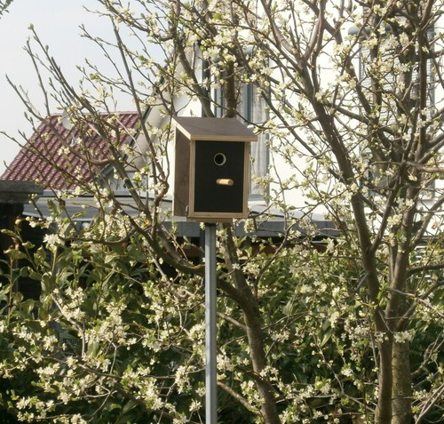 Nistkasten meisenkasten - nistkasten,