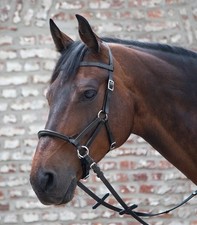 % Waldhausen Trense Linda