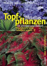 Bildatlas topfpflanzen für - bildatlas,