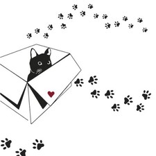 3 lose Servietten ~ Katze im Karton Pfoten Herz Kätzchen