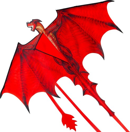 Drachen nylon 140x117 - drachen,
