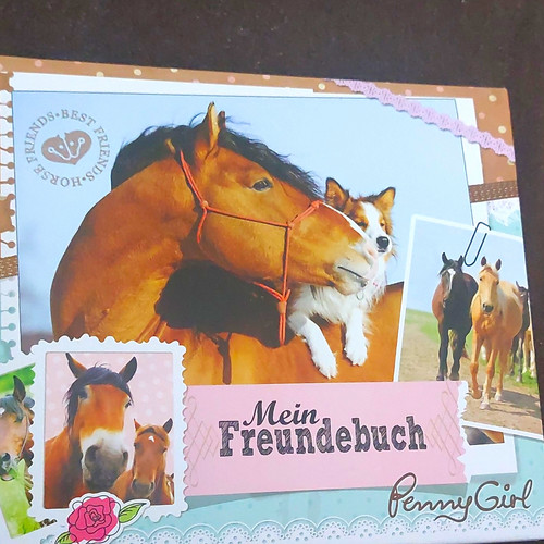 Penny girl mein - penny, freundebuch