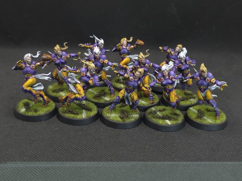 Blood bowl elven union - blood,