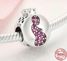 Charm Anhänger passt zu