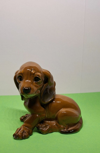 Rosenthal dackel welpe aus - dackel,