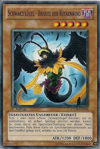 Stor de008 schwarzflügel - schwarzflügel,