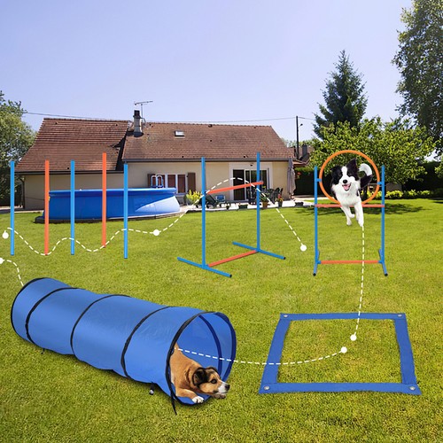 Hundetraining hundesport - hundetraining,