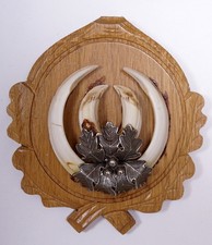 Schöne  Wildschweinzähne