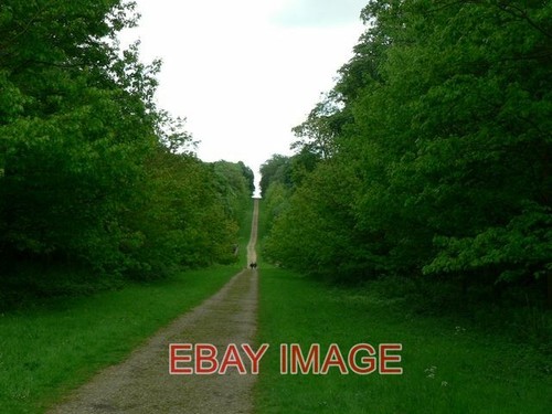 Foto der avene - avene, newsam