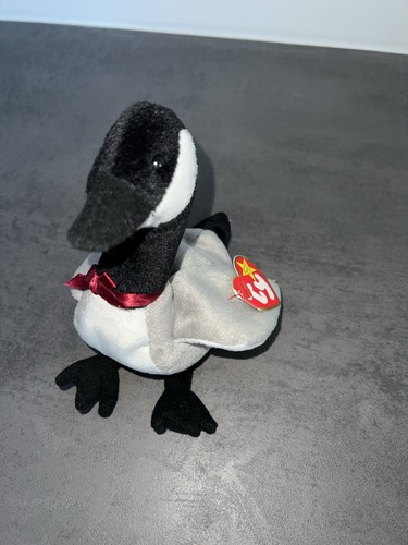 Beanie baby loosy - ty, „loosy“