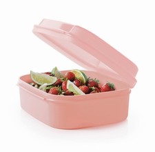 Tupperware 1,7 L Naschkätzchen mittel 1,4 l Behälter Box Bellevue lachs rosa neu