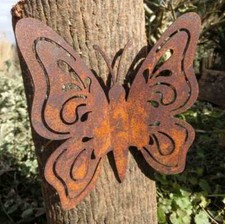 Schmetterling Edelrost Rost