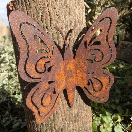 Schmetterling edelrost rost - schmetterling,