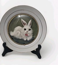 Alter Teller Hase unter