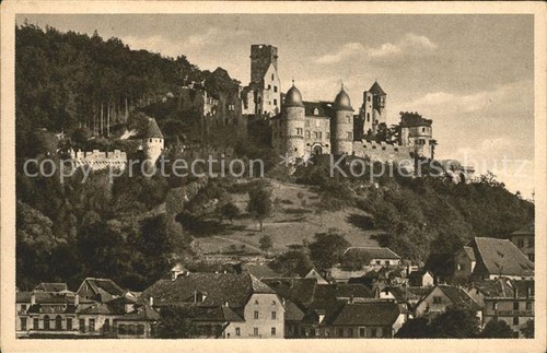 Wertheim main schlossruine - main,