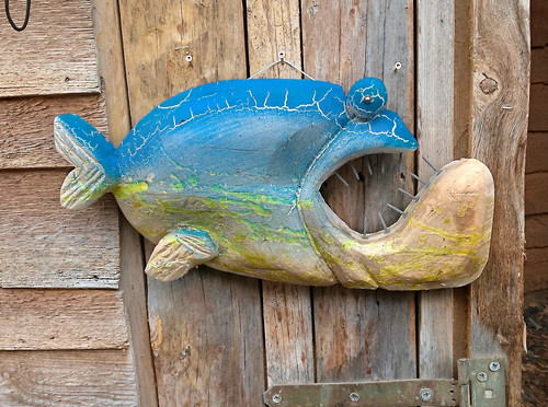 Handbemalte wanddeko fisch - handbemalte,