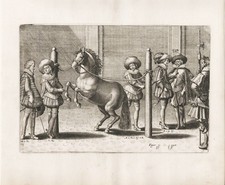 Reitschule riding school Pferd