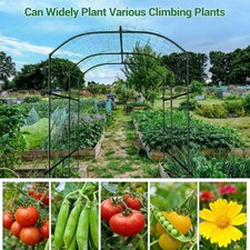 Hoch 220cm Gurke Rankhilfe