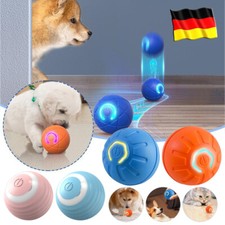 Power Ball Katze Hund