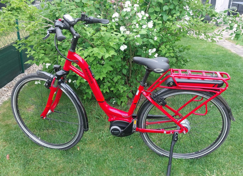 Damen bike pegasus - e-bike,
