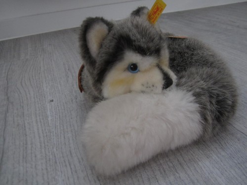 Steiff husky stofftier liegend - stofftier,