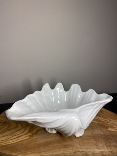 Nautilus schale mit fuß - nautilus,