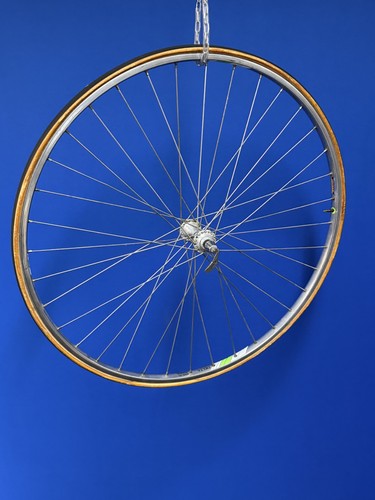 Campagnolo delta - campagnolo,