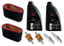 Zündkerze +Filter +Öl SAE30