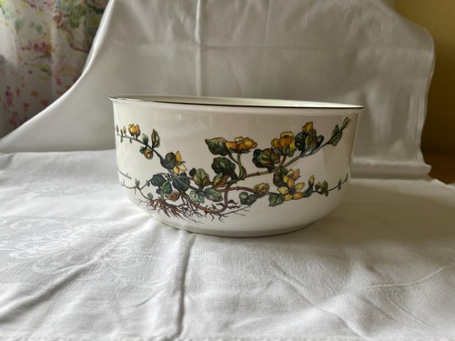 Villeroy boch botanica - botanica,