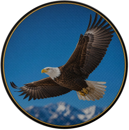 Aufnäher adler rund patch - adler,