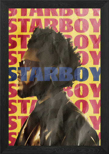 Starboy album cover - starboy, kunst