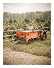 Rustikaler Bauernwagen