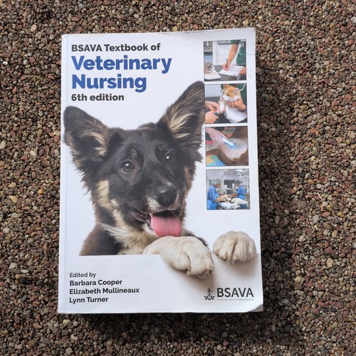 Bsava british small - british, animal