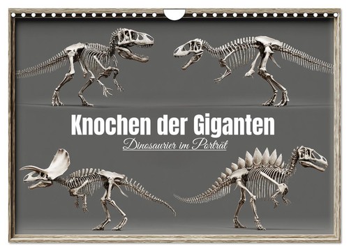 Knochen der giganten - knochen,