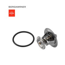 Wahler Thermostat für VW Golf