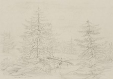 Brandenburgische Taiga, um