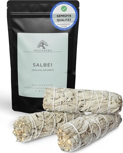 Weißer salbei räucherbündel - salbei,