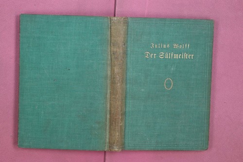 338996 julius wolff - julius,