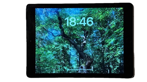Apple ipad generation gb - apple, 6