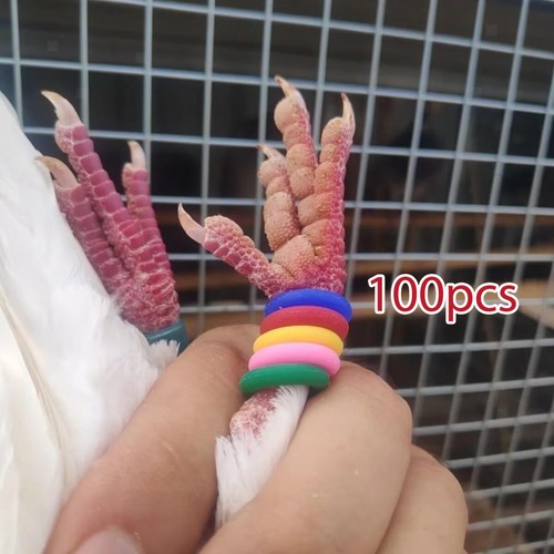 100pcs geflügel ringe multi - 100pcs,