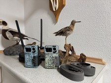 spypoint link micro lte